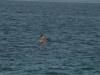 pjIMG_20160914_30826