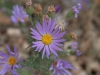 pjIMG_20160921_32022