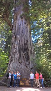 wp_20160912_14_49_32_pro_pj